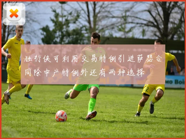 独行侠可利用交易特例引进萨瑟合同除中产特例外还有两种选择