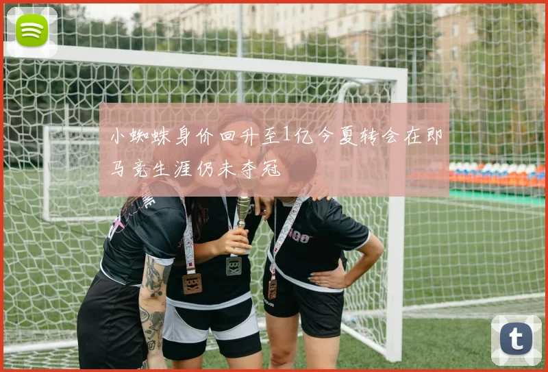 小蜘蛛身价回升至1亿今夏转会在即马竞生涯仍未夺冠